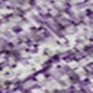 HomeRoots 9' X 12' Purple Ombre Area Rug - Soft, Durable, UV-Protected, Stain-Resistant for Modern Living Spaces 673812
