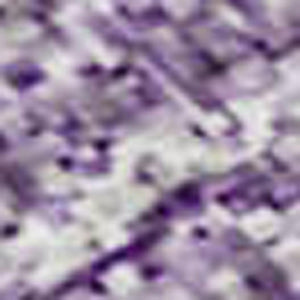 HomeRoots 10' X 14' Ombre Purple & Ivory Washable Area Rug – Stylish, Durable, UV Protected for Family Spaces! 673813