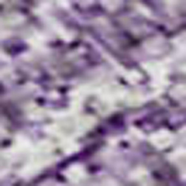 HomeRoots 10' X 14' Ombre Purple & Ivory Washable Area Rug – Stylish, Durable, UV Protected for Family Spaces! 673813