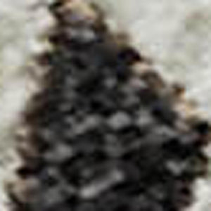 HomeRoots 8' X 10' Washable Plaid Area Rug in Brown, Ivory & Taupe - UV Resistant, Durable, Easy-Care Design 674297