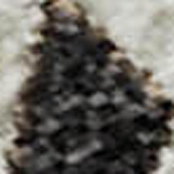 HomeRoots 8' X 10' Washable Plaid Area Rug in Brown, Ivory & Taupe - UV Resistant, Durable, Easy-Care Design 674297