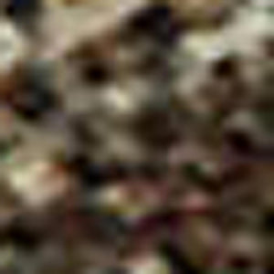 HomeRoots 5' x 8' Abstract Washable Area Rug in Coffee, Burgundy & Beige - Durable, Stain-Resistant Design! 675032