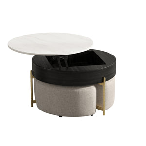 English Elm Vita Modern 31.5" Round Lift-Top Coffee Table Set with Iron Legs and Storage Shelves, Stylish Black,Light beige B341S00043