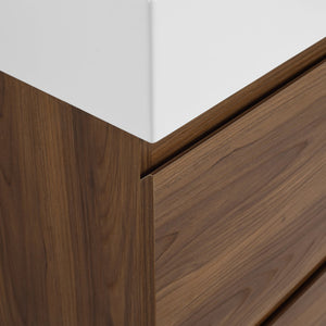 English Elm 24" Modern Bathroom Vanity with Single Undermount Sink, Engineered Wood, Waterproof Finish, 2 Drawers and Pre-Drilled Faucet Hole Brown W1972S00006