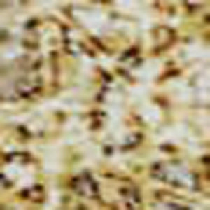 HomeRoots 5' X 8' Gold & Beige Abstract Area Rug - Soft, Stain-Resistant, UV Protected for Modern Spaces 677161