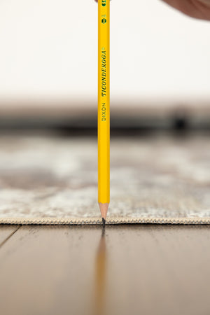 English Elm SPHINX Polyester Indoor/Outdoor Washable Accent Rug 30x46 White Gray Non-Slip Kid & Pet Friendly B186P261383