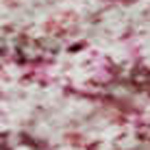 HomeRoots 8' X 10' Pink And Ivory Abstract Area Rug - Washable, UV-Protected, Stylish for Homes with Kids! 678021
