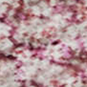 HomeRoots 8' X 10' Pink And Ivory Abstract Area Rug - Washable, UV-Protected, Stylish for Homes with Kids! 678021
