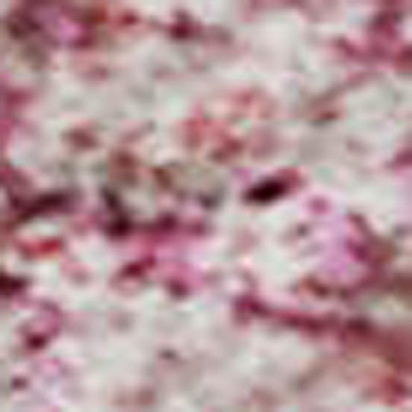 HomeRoots 10' X 14' Pink and Ivory Abstract Area Rug - Stylish, Washable, UV-Protected, Perfect for Homes 678023
