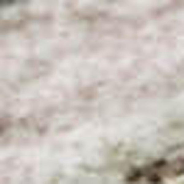 HomeRoots 5' X 8' Floral Washable Area Rug in Pink, Ivory & Gray - UV Protected, Durable & Easy Care for Homes 678996