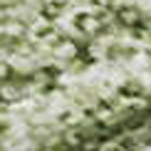 HomeRoots 5' X 8' Green and Ivory Abstract Area Rug - Washable, UV Protected, Perfect for High-Traffic Spaces! 679937