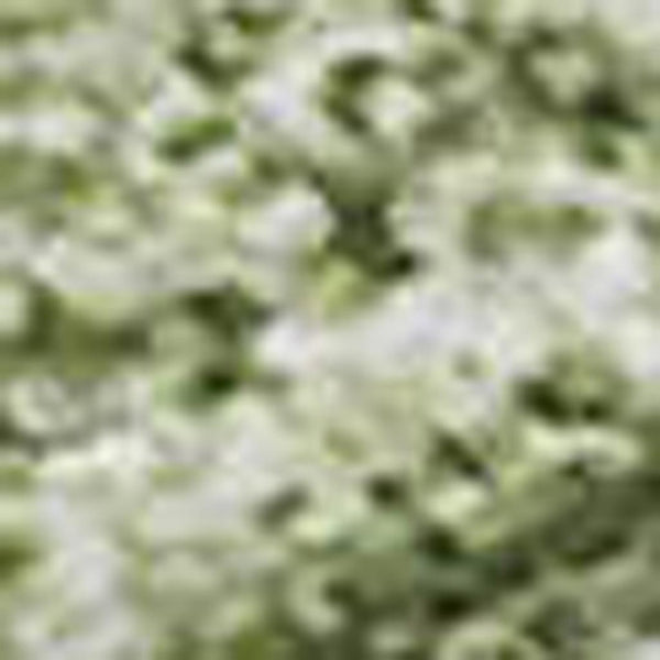 HomeRoots 5' X 8' Green and Ivory Abstract Area Rug - Washable, UV Protected, Perfect for High-Traffic Spaces! 679937