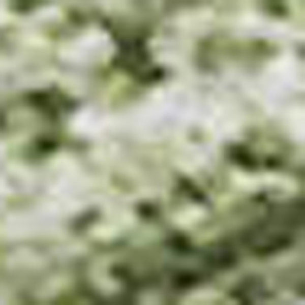 HomeRoots 8' X 10' Green and Ivory Abstract Washable Area Rug - UV Protected, Durable & Stylish for Every Home 679939