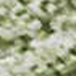 HomeRoots 9' X 12' Washable Green And Ivory Abstract Area Rug with UV Protection for Stylish Home Décor 679940