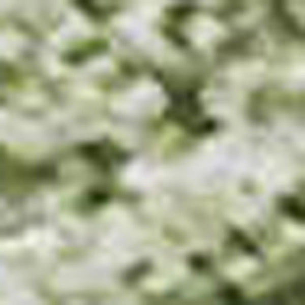 HomeRoots 9' X 12' Washable Green And Ivory Abstract Area Rug with UV Protection for Stylish Home Décor 679940