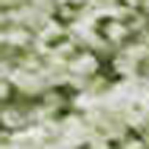 HomeRoots 10' Green & Ivory Abstract Area Rug - Washable, UV Protected, Stylish & Durable for High-Traffic Homes 679941