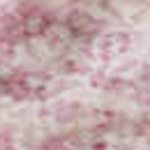 HomeRoots 10' Modern Pink & Blush Abstract Washable Area Rug with UV Protection for Stylish Spaces 679965
