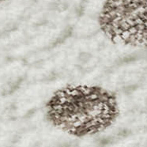 HomeRoots 8' X 10' Ivory Beige Taupe Polka Dot Rug – Washable, UV Protected, & Stain Resistant for Modern Homes 680173