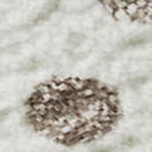 HomeRoots 10' X 14' Washable Ivory Beige Taupe Polka Dot Area Rug - Durable, Stain Resistant, UV Protected! 680175