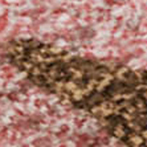 HomeRoots 10' Coral Pink and Ivory Abstract Area Rug - Washable, UV Protected, Soft, Stain-Resistant & Durable 680711