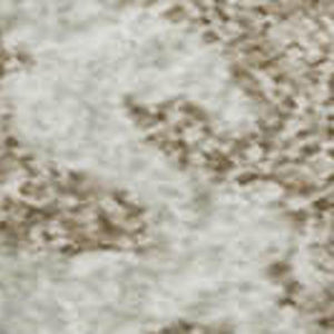 HomeRoots 5' Modern Abstract Gray Gold and Ivory Washable Area Rug with UV Protection for High-Traffic Homes 681241
