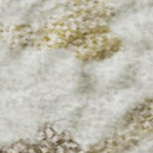 HomeRoots 5' X 8' Striped Ivory Beige Taupe Area Rug - UV Resistant, Washable, Durable for High-Traffic Spaces 682057