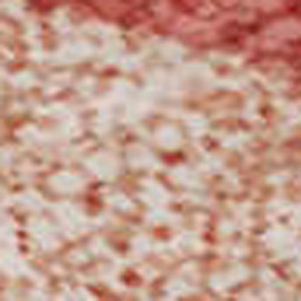 HomeRoots 8' X 10' Washable Abstract Area Rug in Blush Orange & Wheat - UV Protected, Durable, Stain Resistant 682101