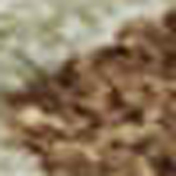 HomeRoots 9' X 12' Washable Area Rug in Rust Green & Gray – Durable, Stain-Resistant with UV Protection! 682390