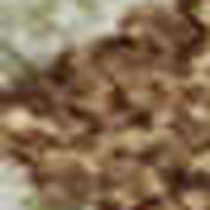 HomeRoots 10' X 14' Stylish Rust Green & Gray Washable Area Rug with UV Protection for High-Traffic Rooms 682391