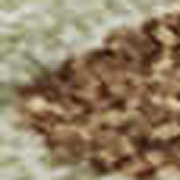 HomeRoots 10' X 14' Stylish Rust Green & Gray Washable Area Rug with UV Protection for High-Traffic Rooms 682391