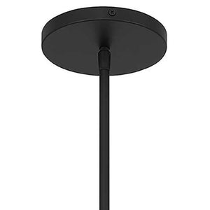 HomeRoots Black Frosted LED Dimmable Outdoor Hanging Pendant Light - Modern Style for Patios & Porches 683463