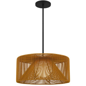 HomeRoots Natural Rattan and Black Metal LED Dimmable Pendant Light – Modern Boho Outdoor/Indoor Charm! 683473
