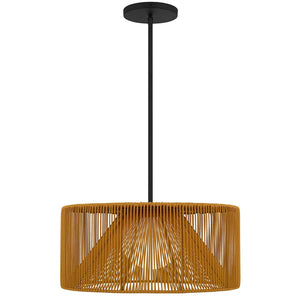 HomeRoots Natural Rattan and Black Metal LED Dimmable Pendant Light – Modern Boho Outdoor/Indoor Charm! 683473