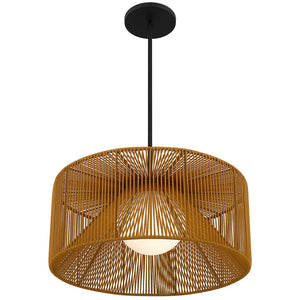 HomeRoots Natural Rattan and Black Metal LED Dimmable Pendant Light – Modern Boho Outdoor/Indoor Charm! 683473