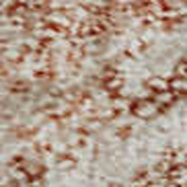 HomeRoots 5' X 8' Pink and Ivory Geometric Area Rug - Washable, UV-Protected, Stylish & Family-Friendly Design! 683838