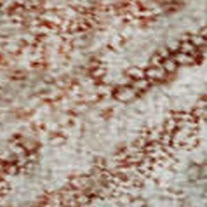 HomeRoots 10' X 14' Pink and Ivory Geometric Washable Area Rug with UV Protection for Stylish Living Spaces 683842