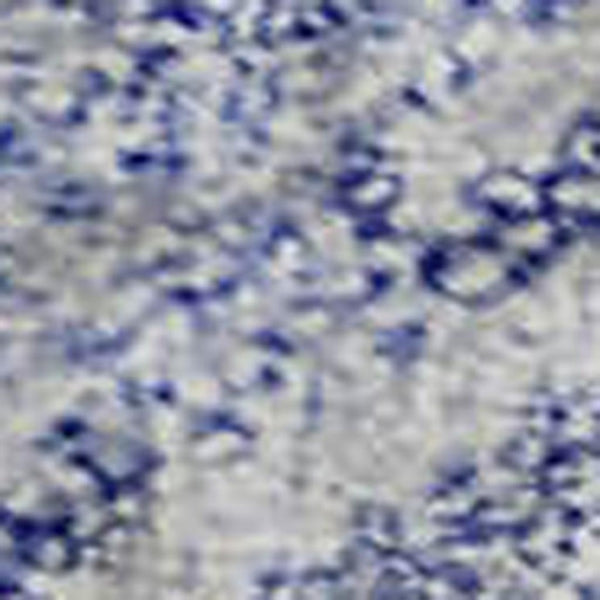 HomeRoots 8' X 10' Sky Blue & Ivory Geometric Washable Area Rug - Durable, Stain Resistant, UV Protected Design! 683852