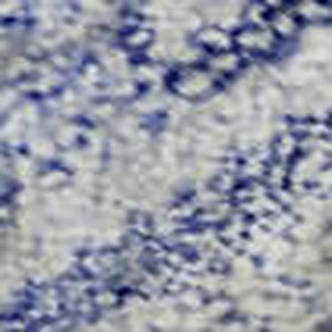 HomeRoots 10' X 14' Sky Blue & Ivory Geometric Washable Area Rug – UV Protected, Durable, Stylish for Your Home 683854