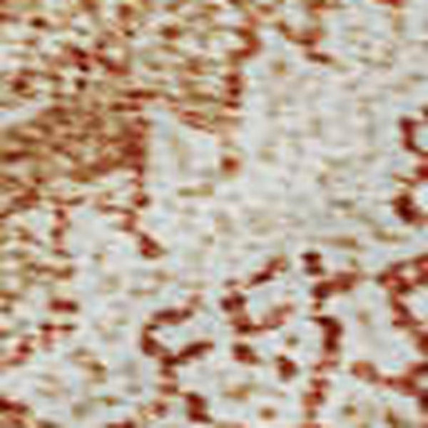 HomeRoots 10' X 14' Salmon and Ivory Damask Washable Area Rug - Durable, UV Protected, and Elegant Design! 683920