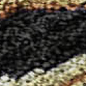 HomeRoots 9' X 12' Elegant Floral Washable Area Rug in Black, Copper & Red - Stain-Resistant, UV-Protected! 683961