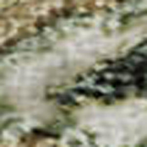 HomeRoots 5' X 8' Floral Area Rug in Ivory, Fern Green & Beige - Washable, Stain Resistant, UV Protected! 684024