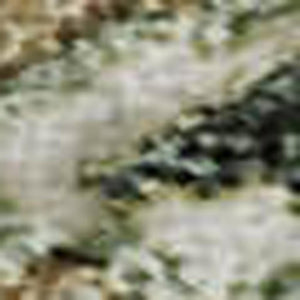 HomeRoots 8' X 10' Elegant Floral Area Rug in Ivory, Green & Beige - Washable, UV Protected & Stain Resistant 684026