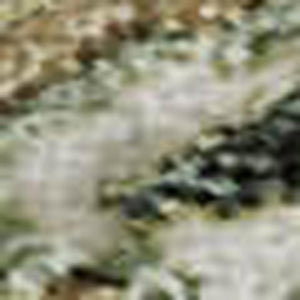 HomeRoots 9' X 12' Floral Area Rug in Ivory, Fern Green & Beige - Washable, UV Protected & Pet Friendly 684027