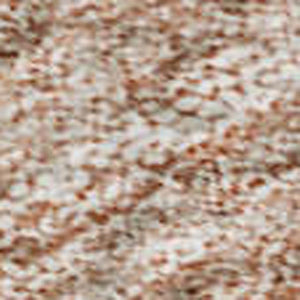 HomeRoots 5' X 8' Salmon and Ivory Abstract Area Rug - Soft, Stain-Resistant, UV-Protected for Active Homes 684264