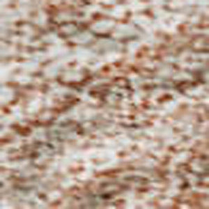 HomeRoots 10' X 14' Salmon and Ivory Abstract Washable Area Rug - Stylish, Durable, UV-Protected, Stain-Resistant! 684268