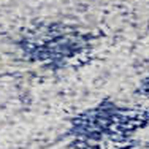 HomeRoots 5' x 8' Elegant Sky Blue, Gray & Ivory Damask Area Rug - Washable, UV Protected & Stain-Resistant! 684342