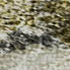 HomeRoots 5' X 8' Floral Area Rug in Brown, Gray & Gold - Washable with UV Protection for Family Spaces 684458
