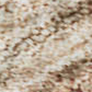 HomeRoots 5' X 8' Coral Medallion Washable Area Rug with UV Protection - Durable, Stain-Resistant Charm! 684608