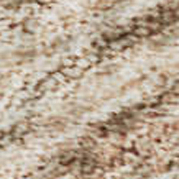 HomeRoots 9' X 12' Coral & Salmon Medallion Area Rug - Stain-Resistant, UV Protected, Easy-Care Design! 684611