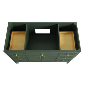 English Elm Fully Assembled 48'' Green Bathroom Vanity With Solid Wood, Engineered Marble Top & Soft-Close Drawers W1826P308982